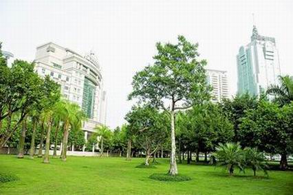 莫斯科人均绿地面积_我国人均绿地面积在