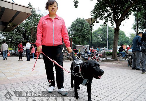 盲人調律師攜帶導盲犬來學畫畫 感受南寧熱情(圖)