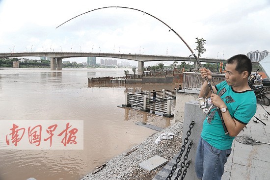 邕江8月27日迎最大洪峰 預計洪峰水位71.3米(圖)