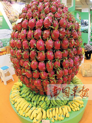 第十届中国-东盟博览会农业展9月3日将正式开展
