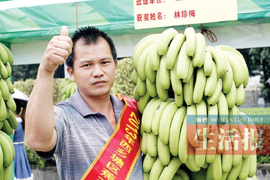 南寧西鄉塘區香蕉文化旅遊節開幕
