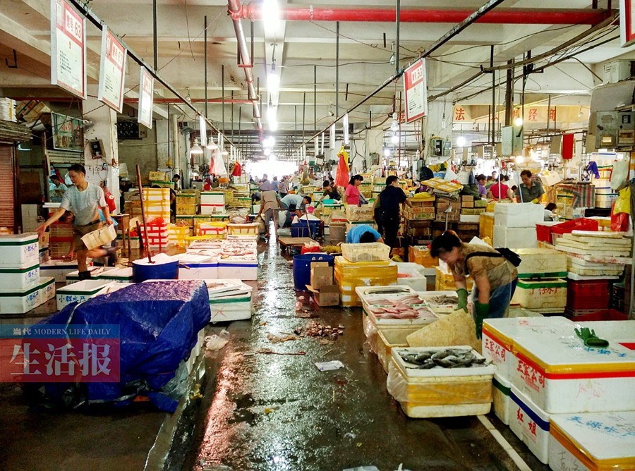 南寧海鮮價格“漲”聲一片 去哪買海鮮最便宜？