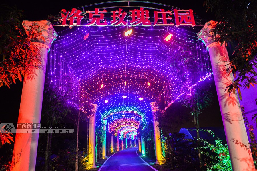 南寧:首屆美麗南方花燈文化藝術節2月1日舉辦(圖)